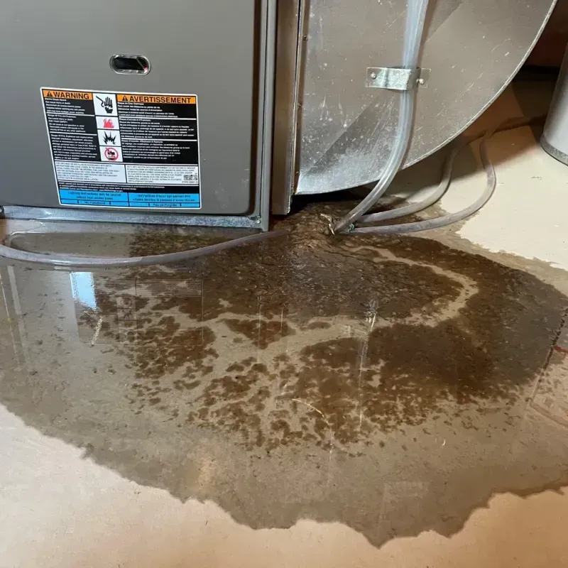 Appliance Leak Cleanup in South Holland, IL